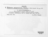 Image Associated With the Occurence
